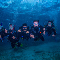 Study with USAC in Gold Coast, Australia